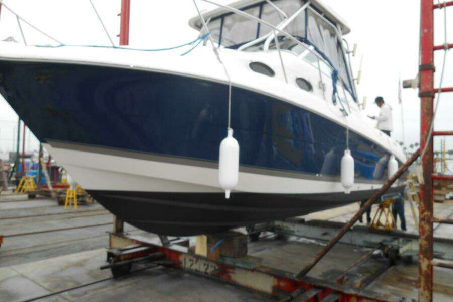 Delfini 27ft Wellcraft Yacht For Sale