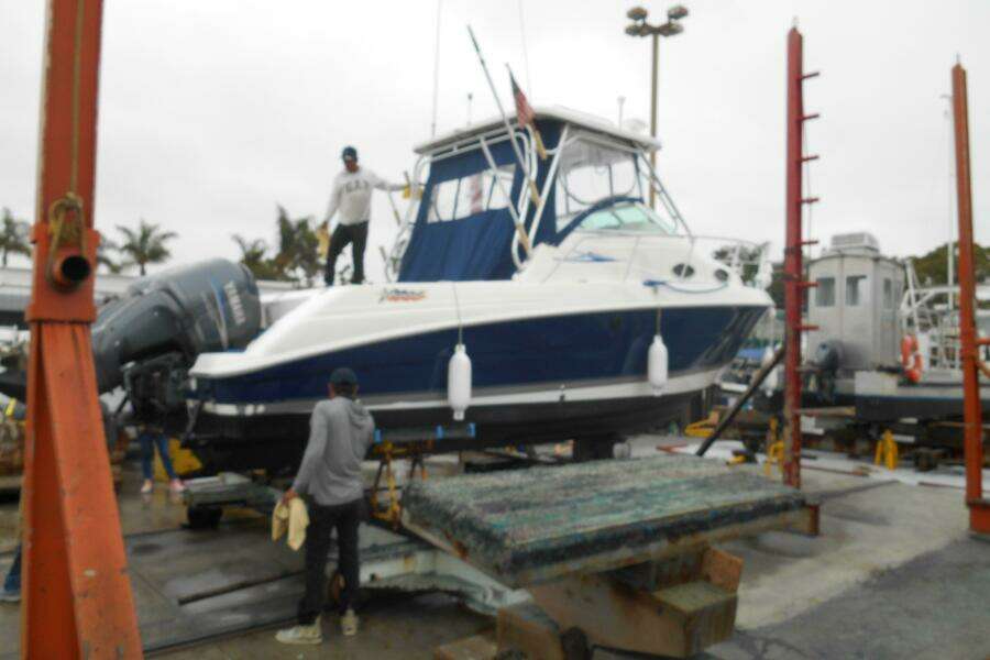 Delfini 27ft Wellcraft Yacht For Sale