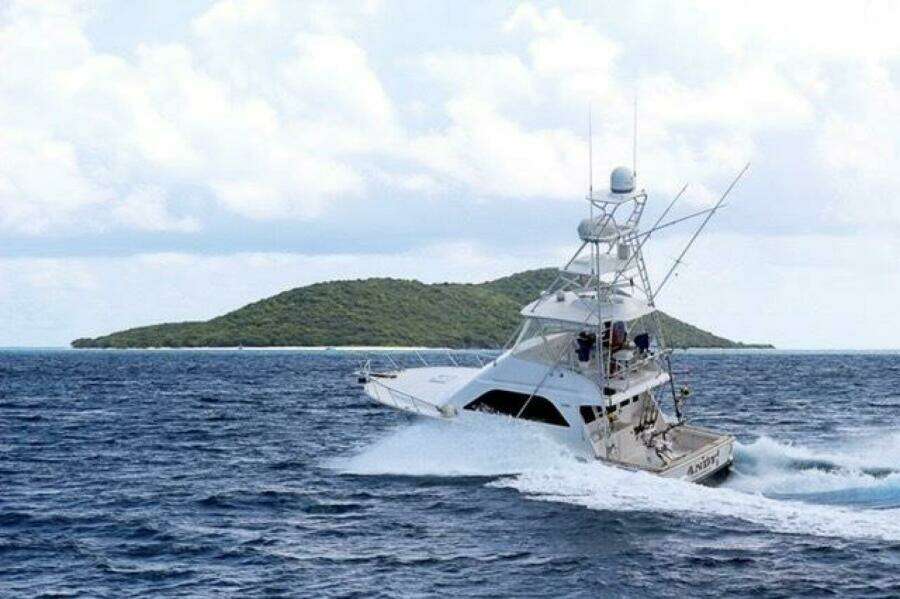 Andy 40ft Cabo Yacht For Sale