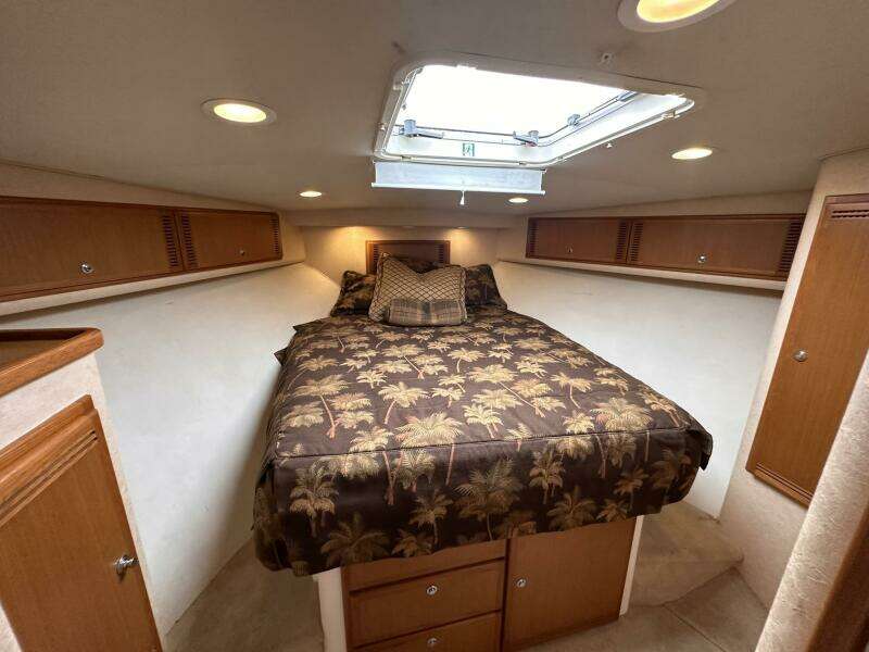 Andy 40ft Cabo Yacht For Sale