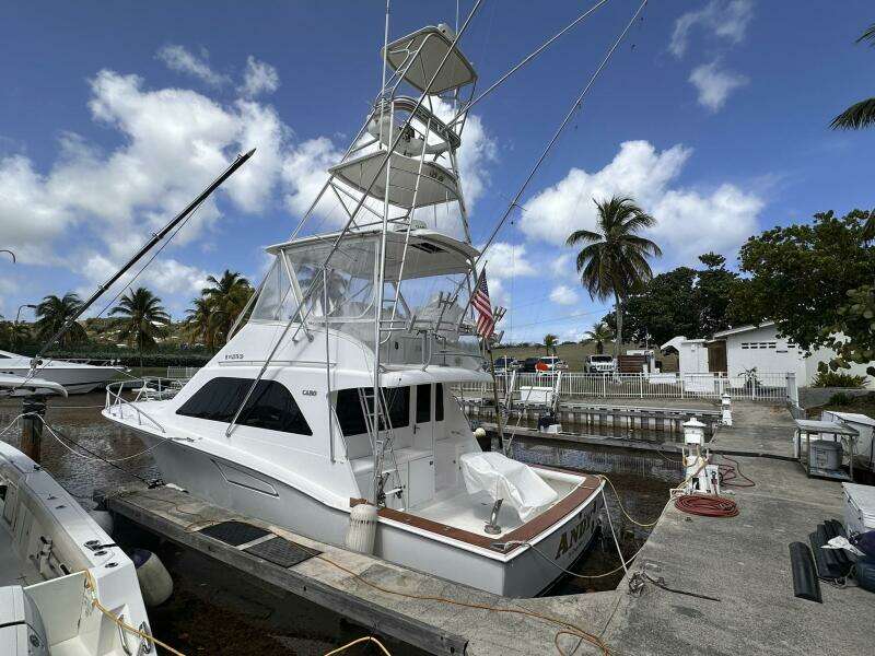 Andy 40ft Cabo Yacht For Sale