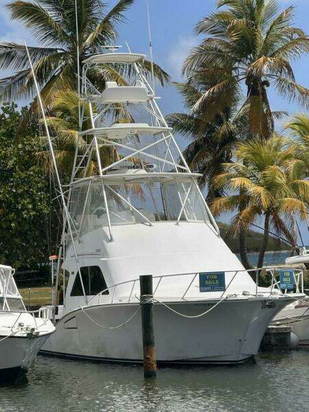 Andy 40ft Cabo Yacht For Sale