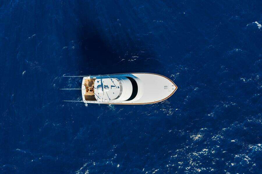 Viking 50 Convertible - Profile