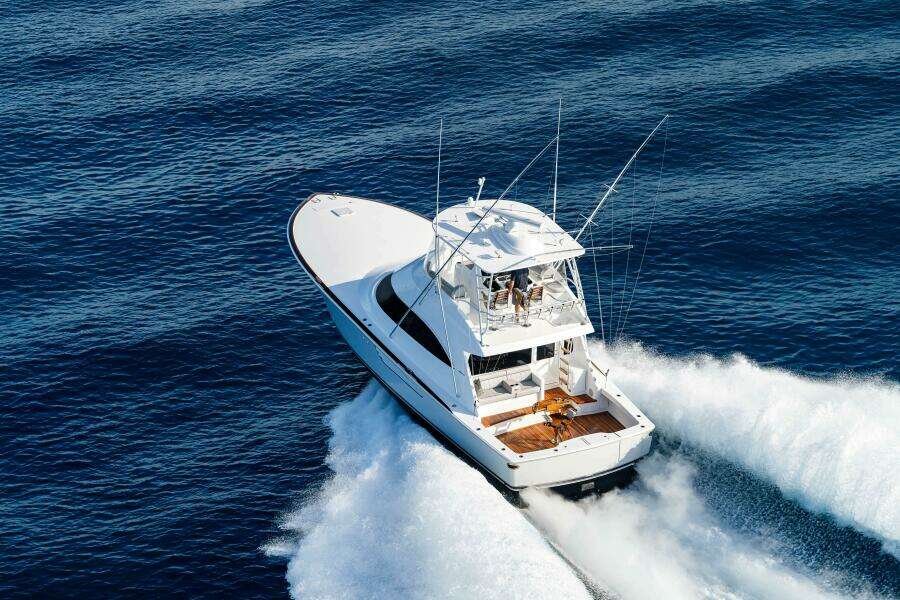 Viking 50 Convertible - Profile