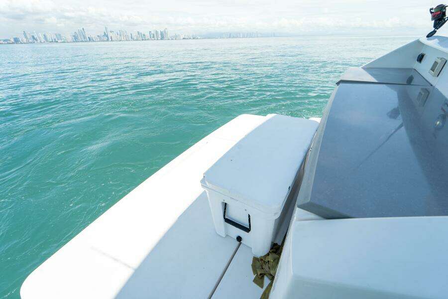 Social Panama 33 2