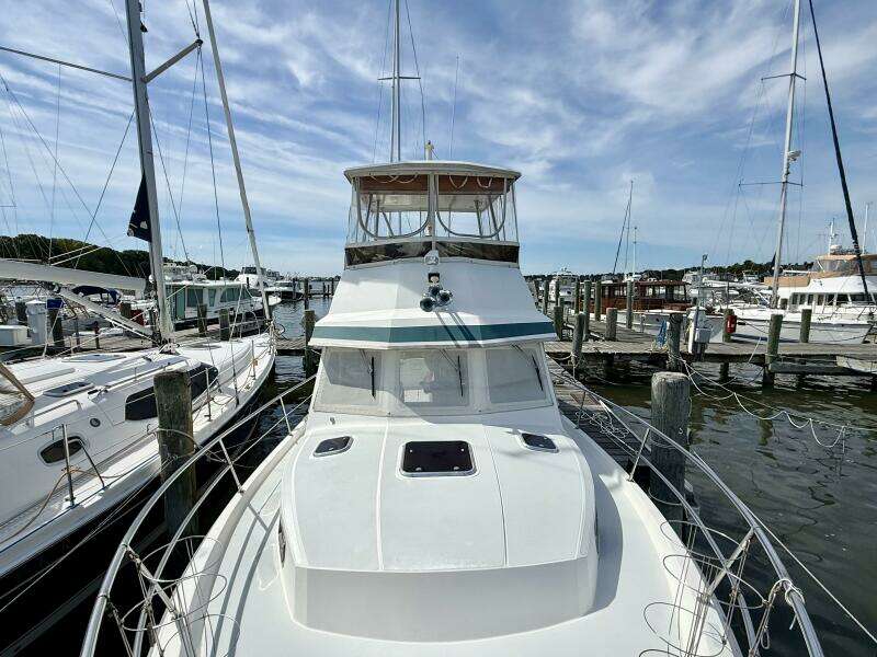 Daystar 34ft Sabre Yacht For Sale