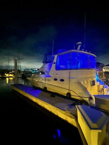 Just One More 42ft Sea Ray Yacht For Sale