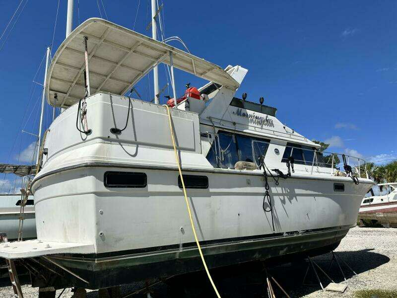 Morningstar 42ft Carver Yacht For Sale