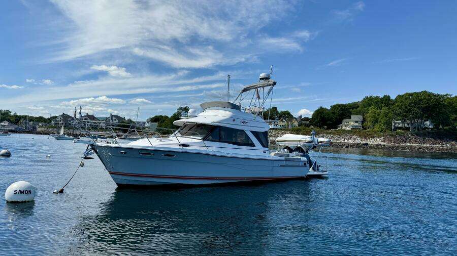 Frisky 37ft Cutwater Yacht For Sale