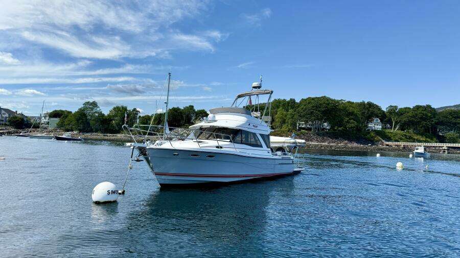 Frisky 37ft Cutwater Yacht For Sale
