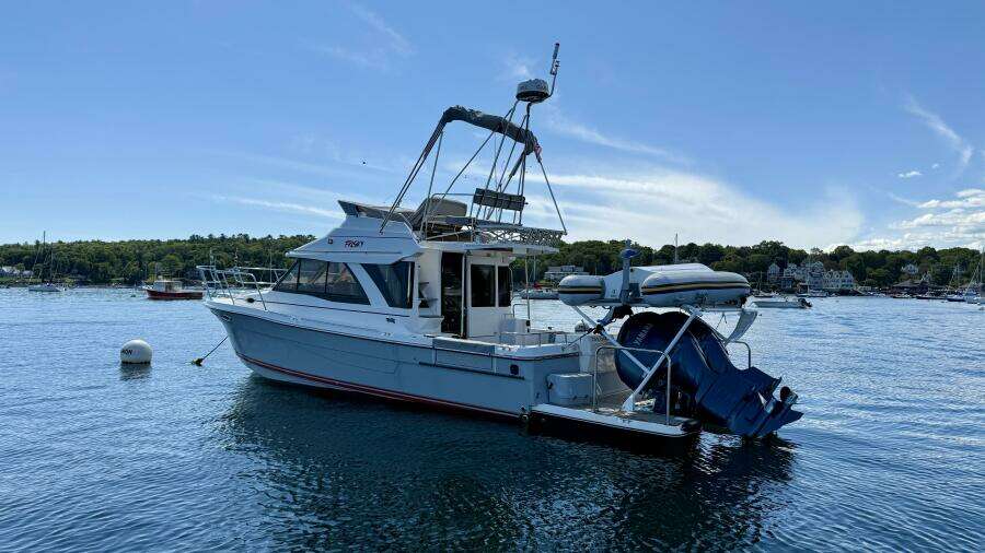 Frisky 37ft Cutwater Yacht For Sale