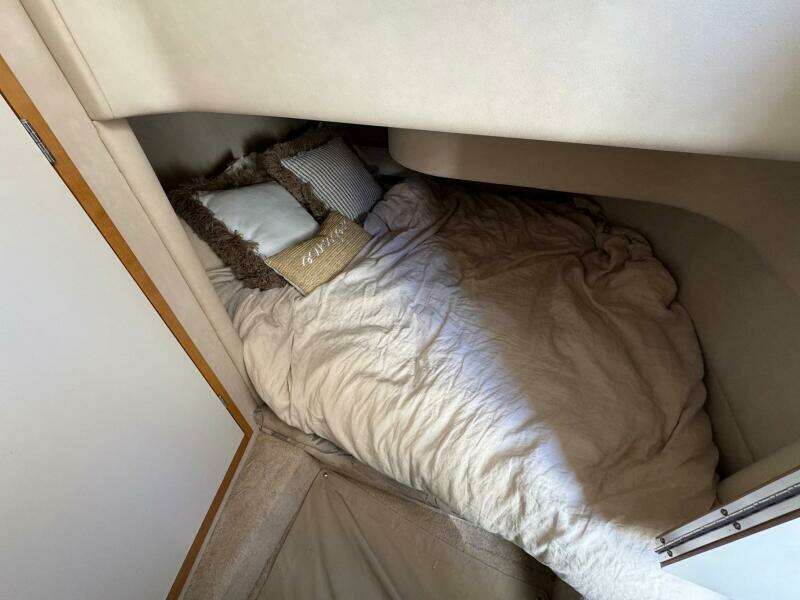 11 Guest Berth