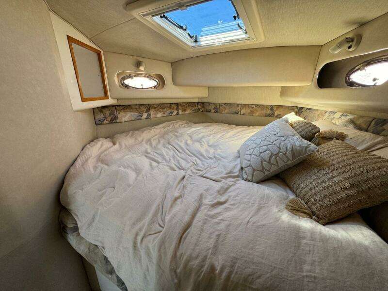 9 Main Cabin 2
