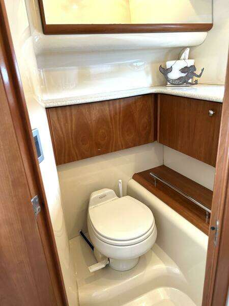 Jackael A IV 45ft Meridian Yacht For Sale