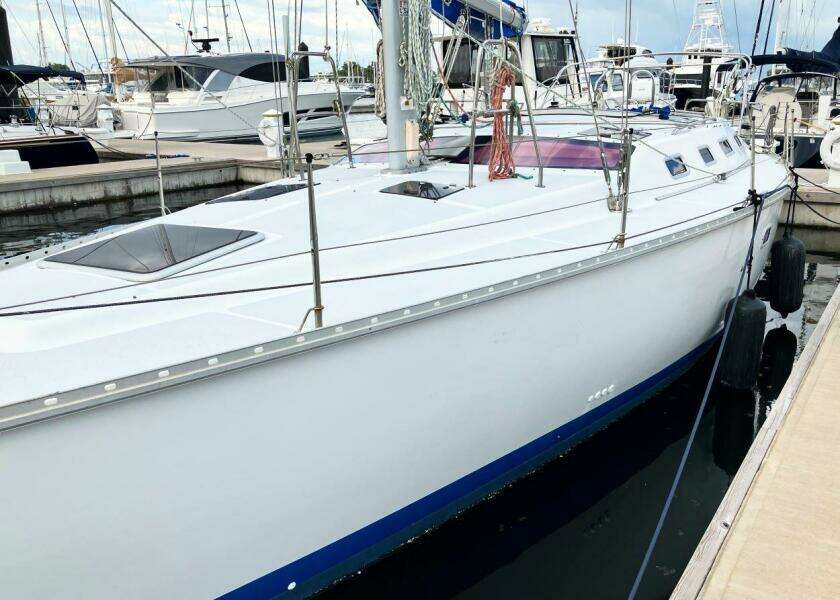 Coqui 43ft Hunter Yacht For Sale