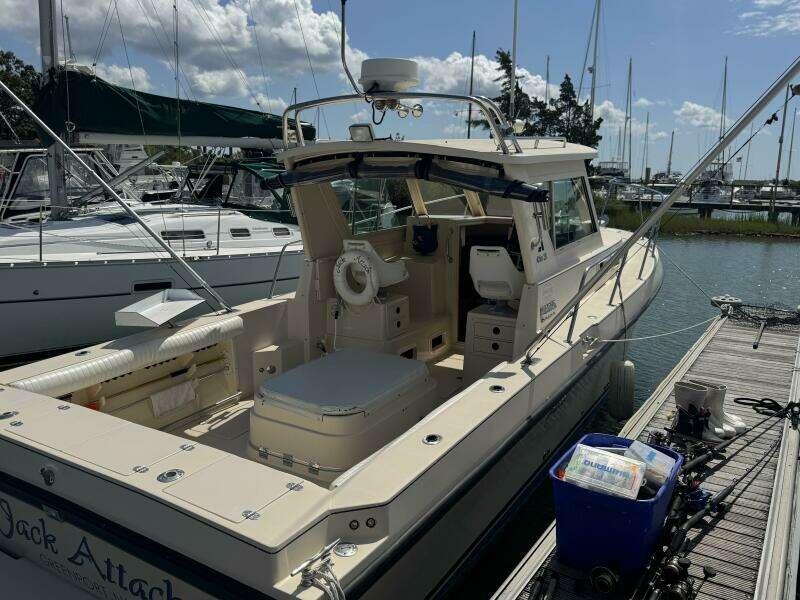 Jack Attack 28ft Albin Yacht For Sale