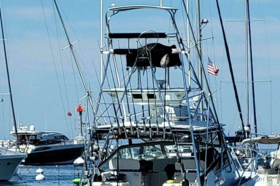Beer Money 32ft Topaz Yacht For Sale