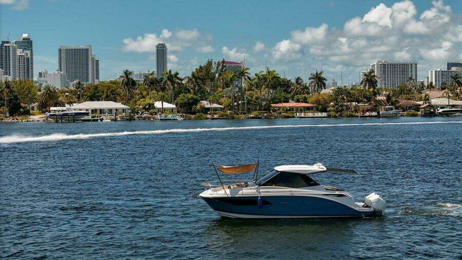 Lady Iryna 32ft Sea Ray Yacht For Sale