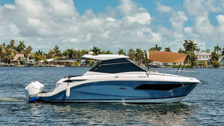 Lady Iryna 32ft Sea Ray Yacht For Sale