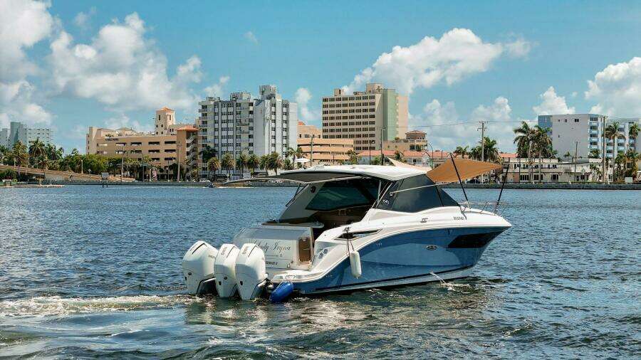 Lady Iryna 32ft Sea Ray Yacht For Sale