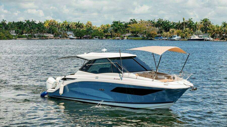 Lady Iryna 32ft Sea Ray Yacht For Sale