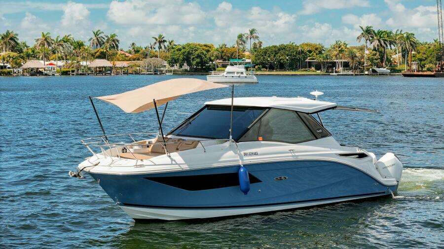 Lady Iryna 32ft Sea Ray Yacht For Sale
