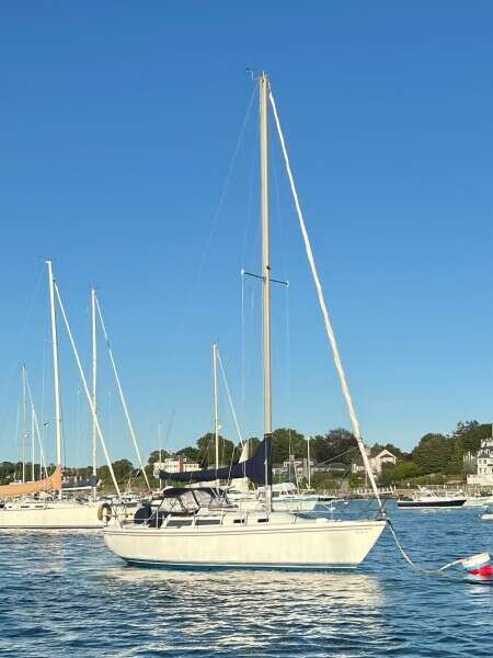 Lazy Grace 30ft Catalina Yacht For Sale