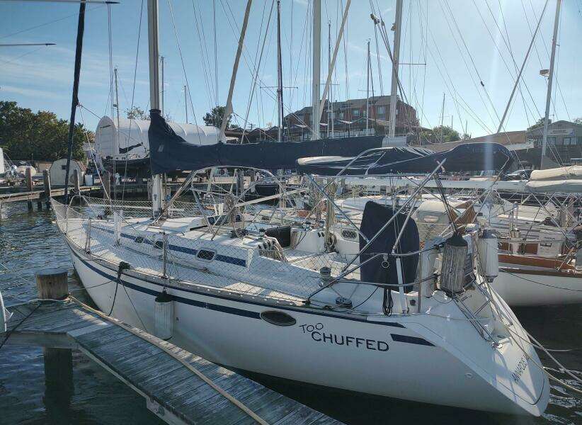 TOO CHUFFED 37ft Hunter Yacht For Sale TOO CHUFFED 37ft Hunter Yacht For Sale