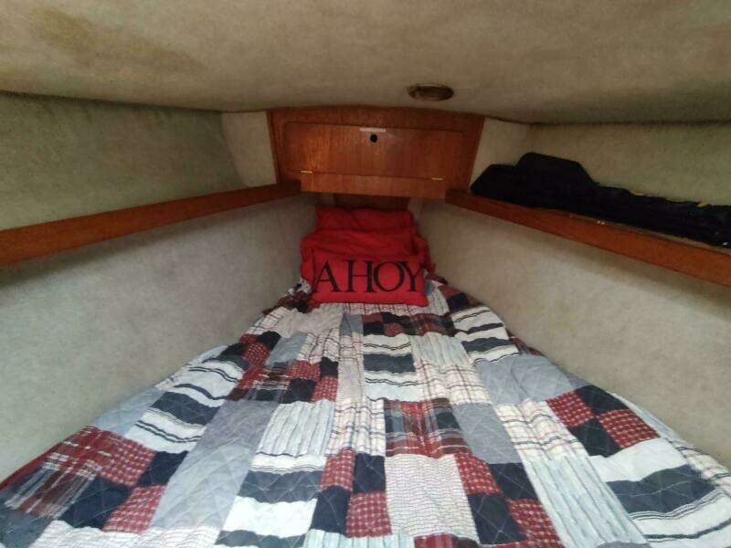 TOO CHUFFED 37ft Hunter Yacht For Sale