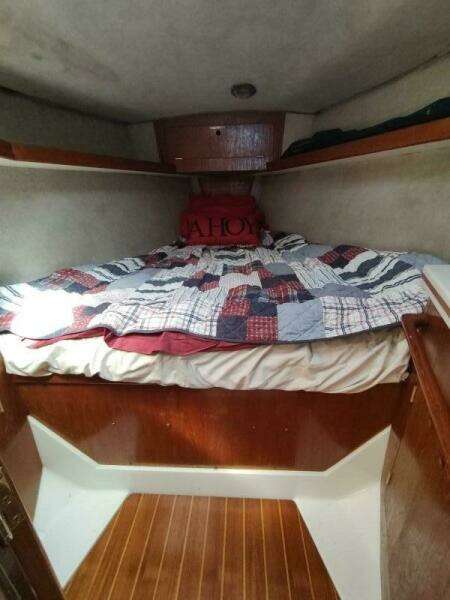 TOO CHUFFED 37ft Hunter Yacht For Sale