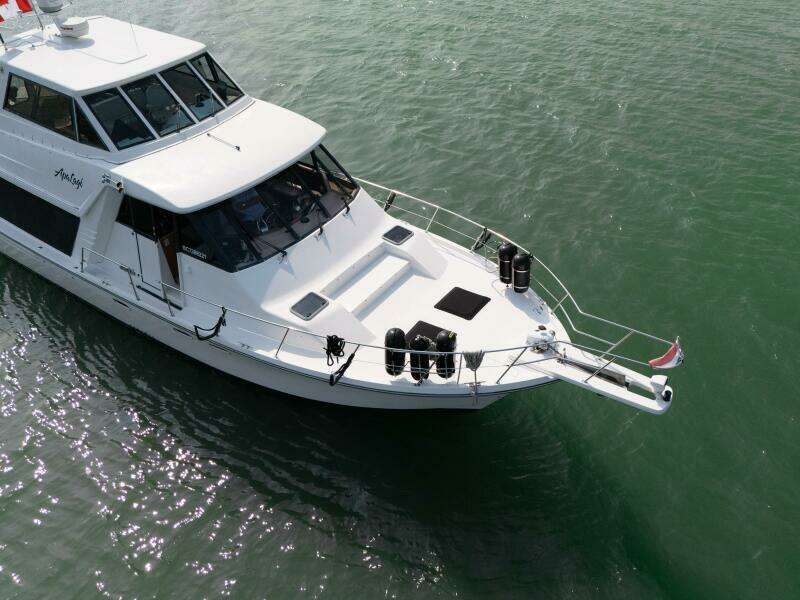 Apa Lagi 47ft Bayliner Yacht For Sale
