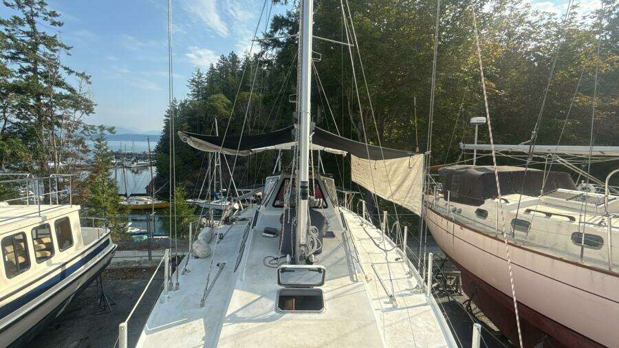 Glouton 40ft Meta Yacht For Sale