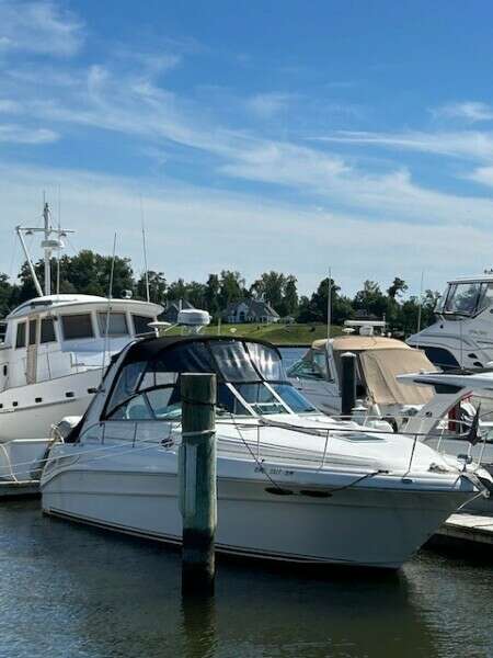 36ft Sea Ray Yacht For Sale