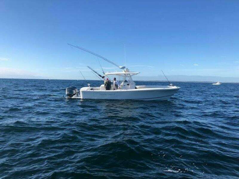 31ft Regulator Yacht For Sale