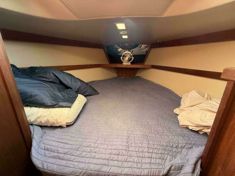 SKODEN 36ft Catalina Yacht For Sale