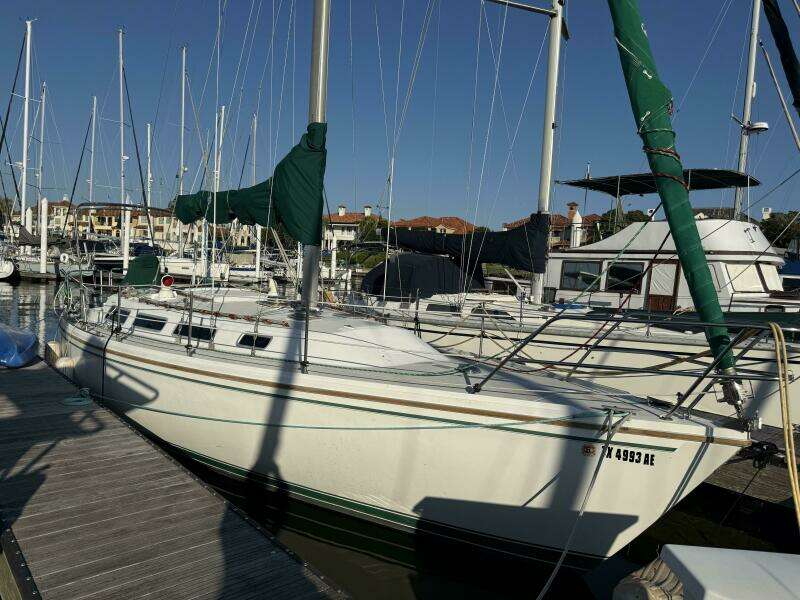 SKODEN 36ft Catalina Yacht For Sale