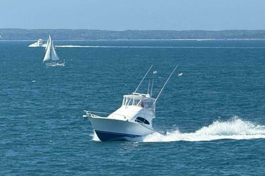 41ft Luhrs Yacht For Sale