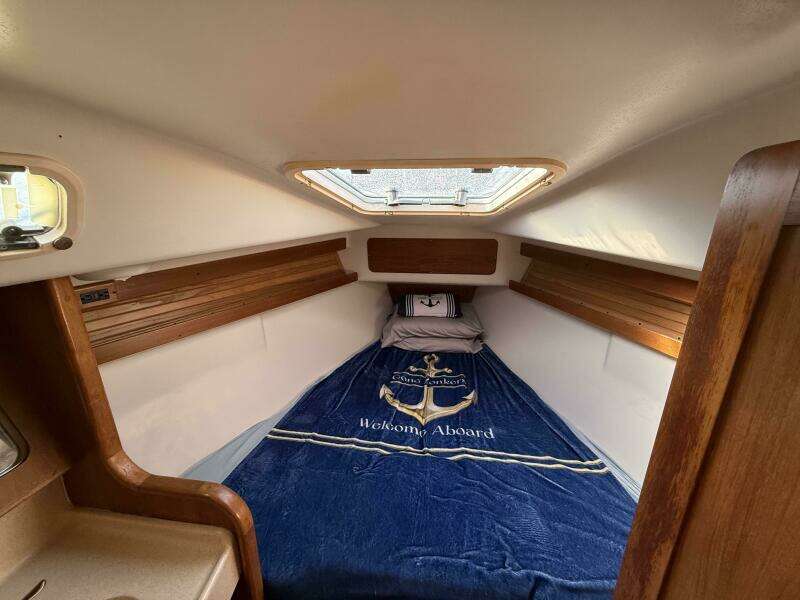 GONE ZONKERS 38ft Catalina Yacht For Sale