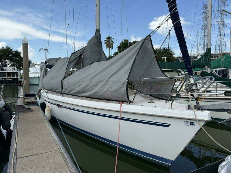 GONE ZONKERS 38ft Catalina Yacht For Sale