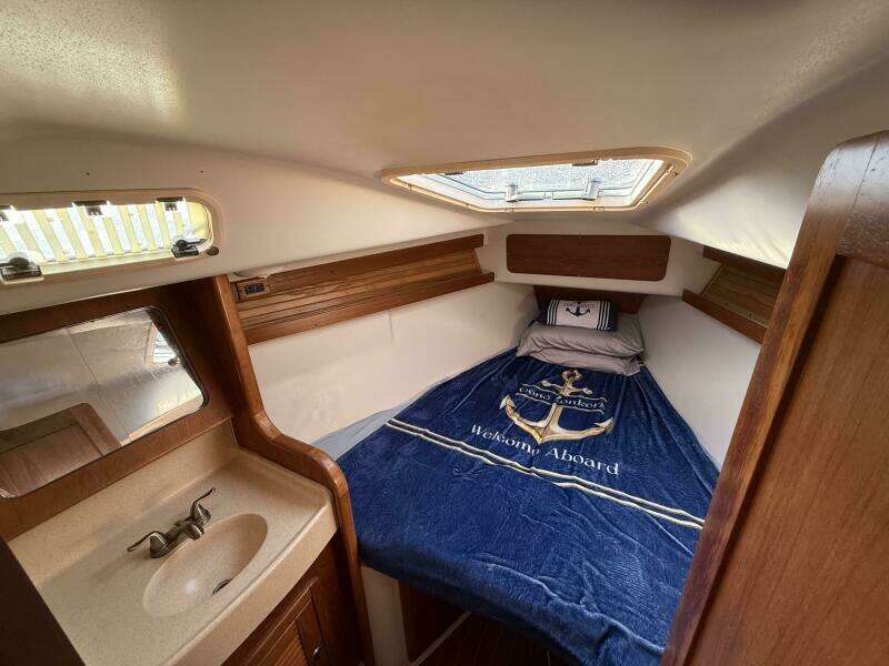 GONE ZONKERS 38ft Catalina Yacht For Sale