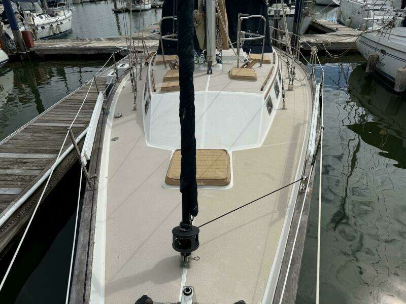 Meno Mosso 44ft Catalina Morgan Yacht For Sale
