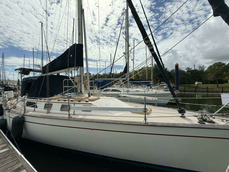 Meno Mosso 44ft Catalina Morgan Yacht For Sale