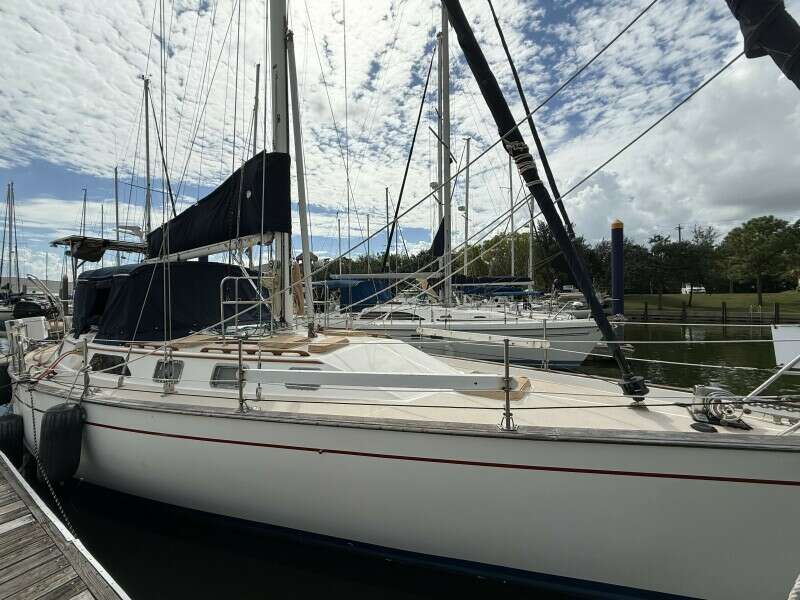 Meno Mosso 44ft Catalina Morgan Yacht For Sale