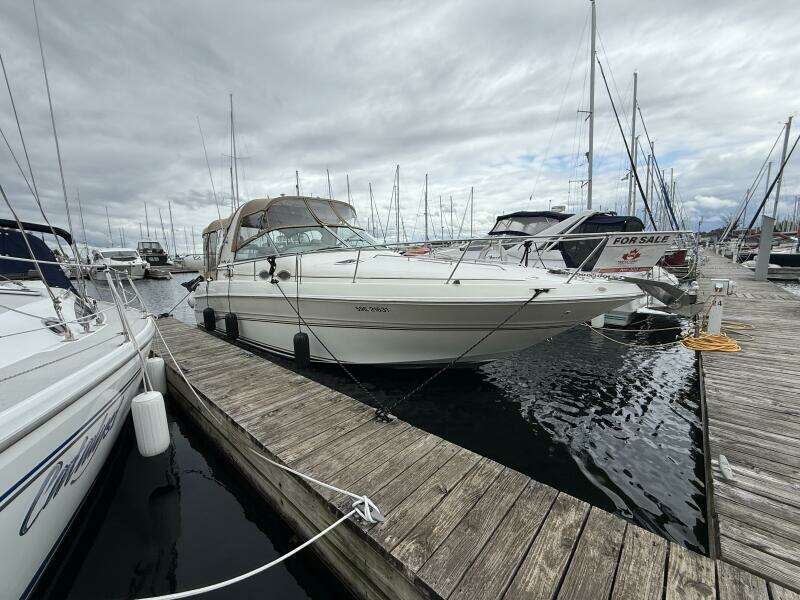 31ft Sea Ray Yacht For Sale