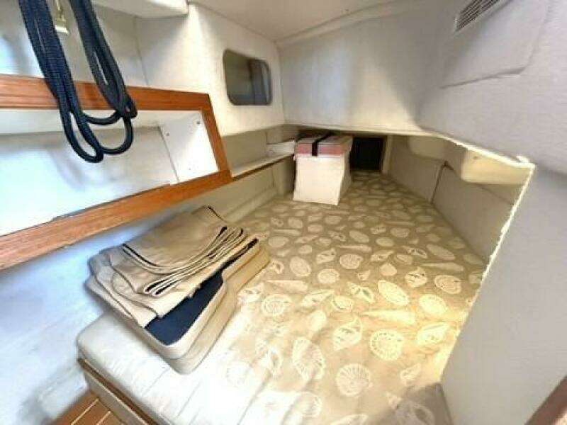 Guest Stateroom
