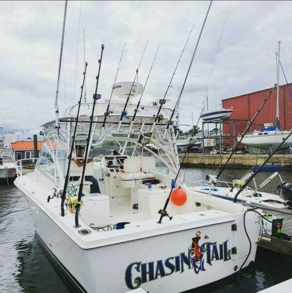 30ft Luhrs Yacht For Sale