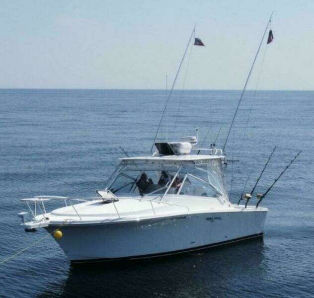 30ft Luhrs Yacht For Sale