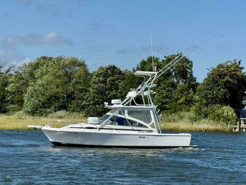 Escapade 29ft Blackfin Yacht For Sale