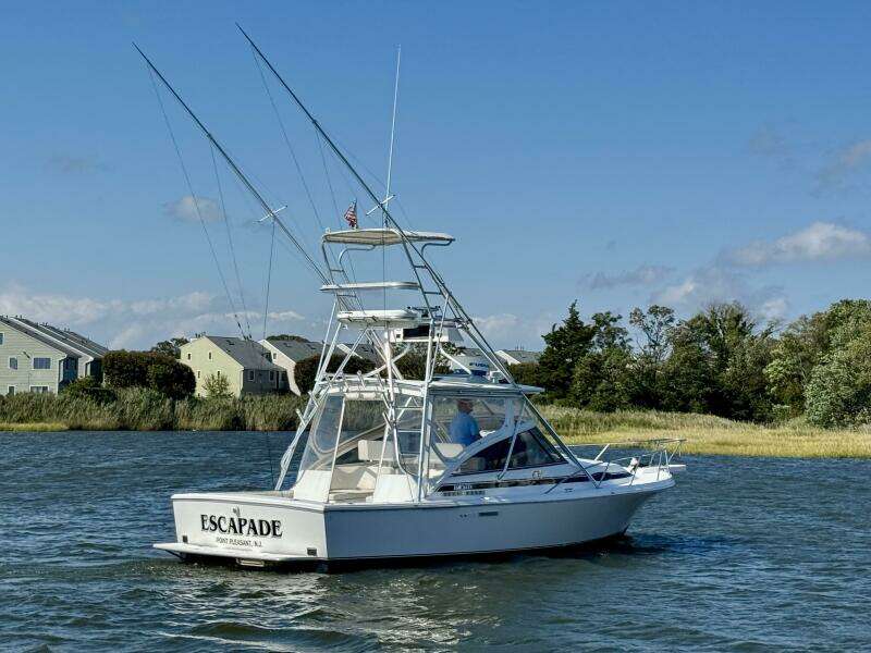 Escapade 29ft Blackfin Yacht For Sale