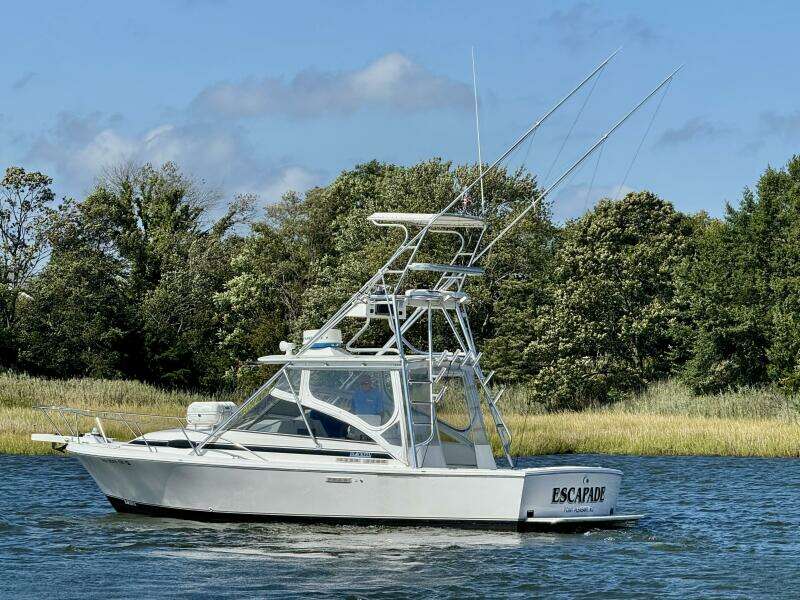 Escapade 29ft Blackfin Yacht For Sale